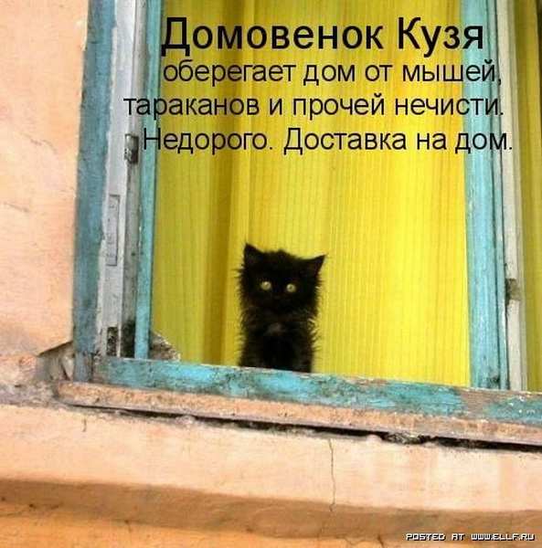 ���������� �������