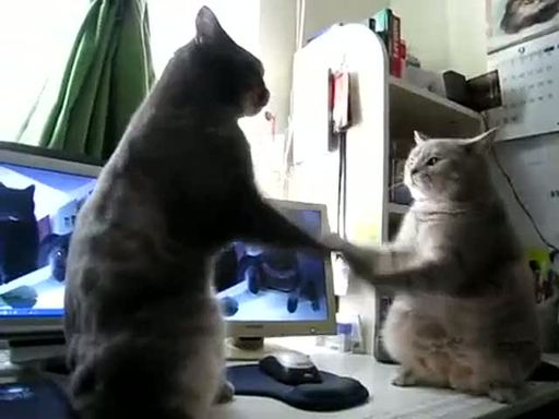 ��� � �������